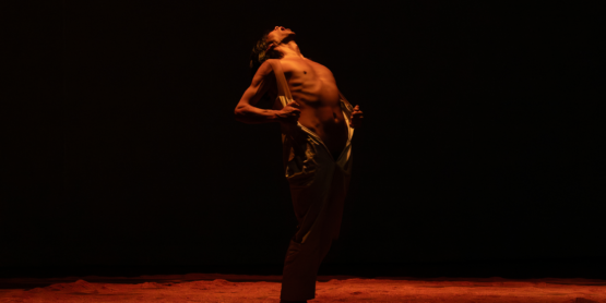 ALEERSE de Núcleo Creativo Tierra Húmeda