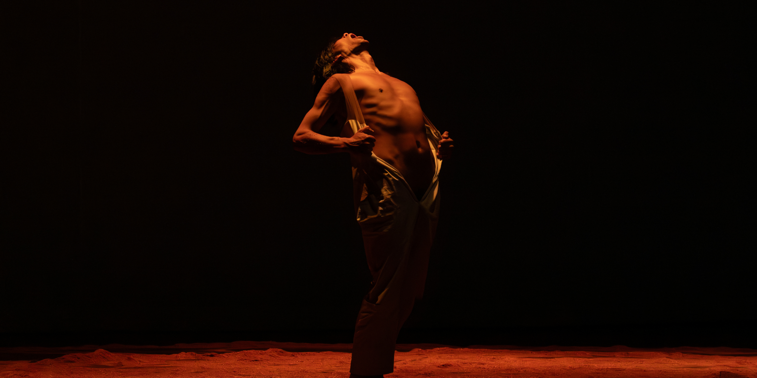 ALEERSE de Núcleo Creativo Tierra Húmeda