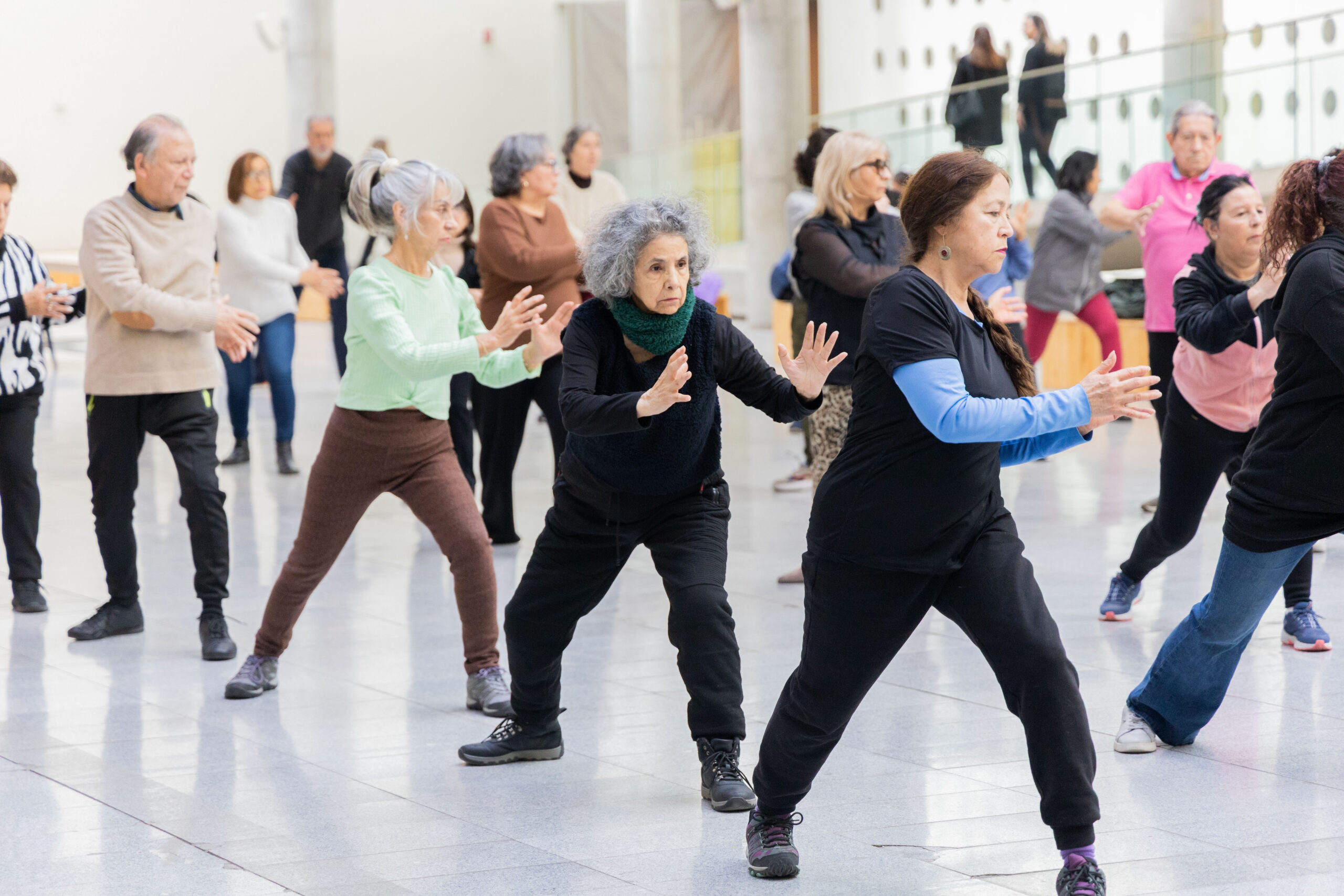DANZOTEA TAI CHI